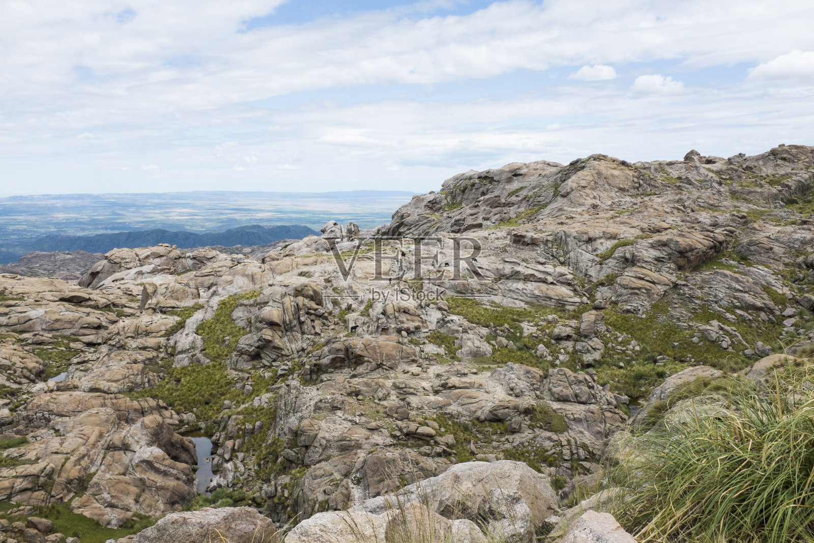 阿根廷有岩石和低矮灌木的景观照片摄影图片