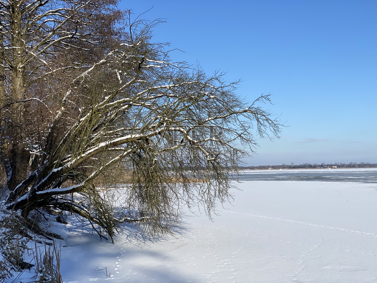 冬天lanscape照片摄影图片