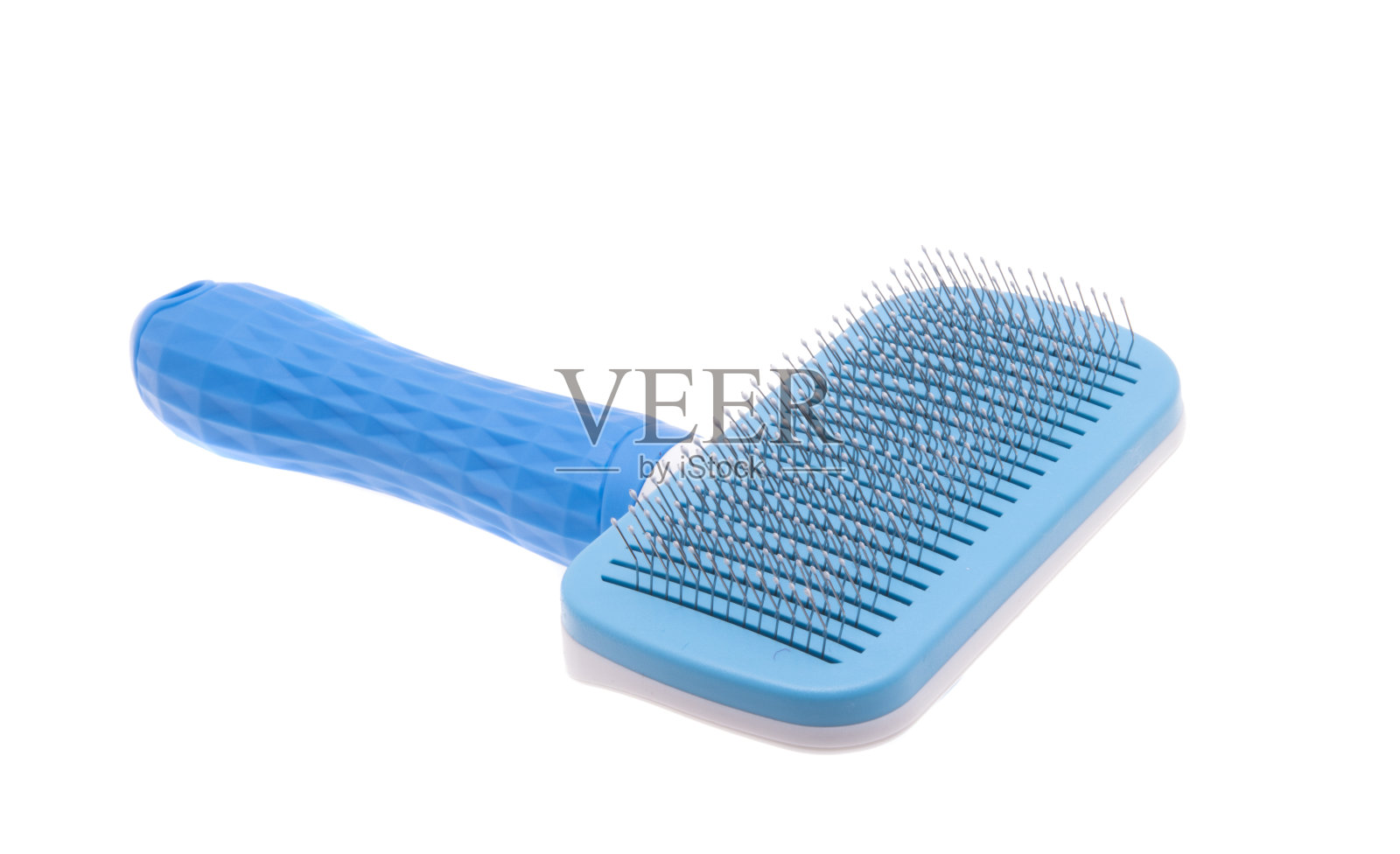 光滑动物隔离照片摄影图片