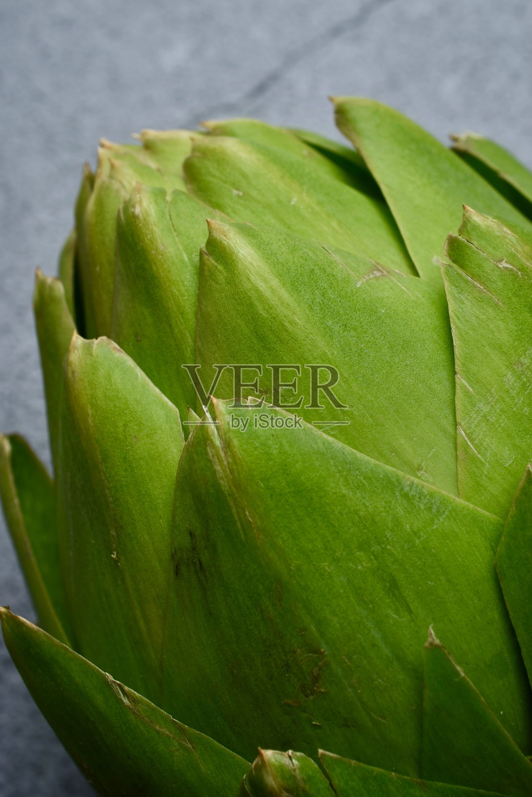 洋蓟照片摄影图片