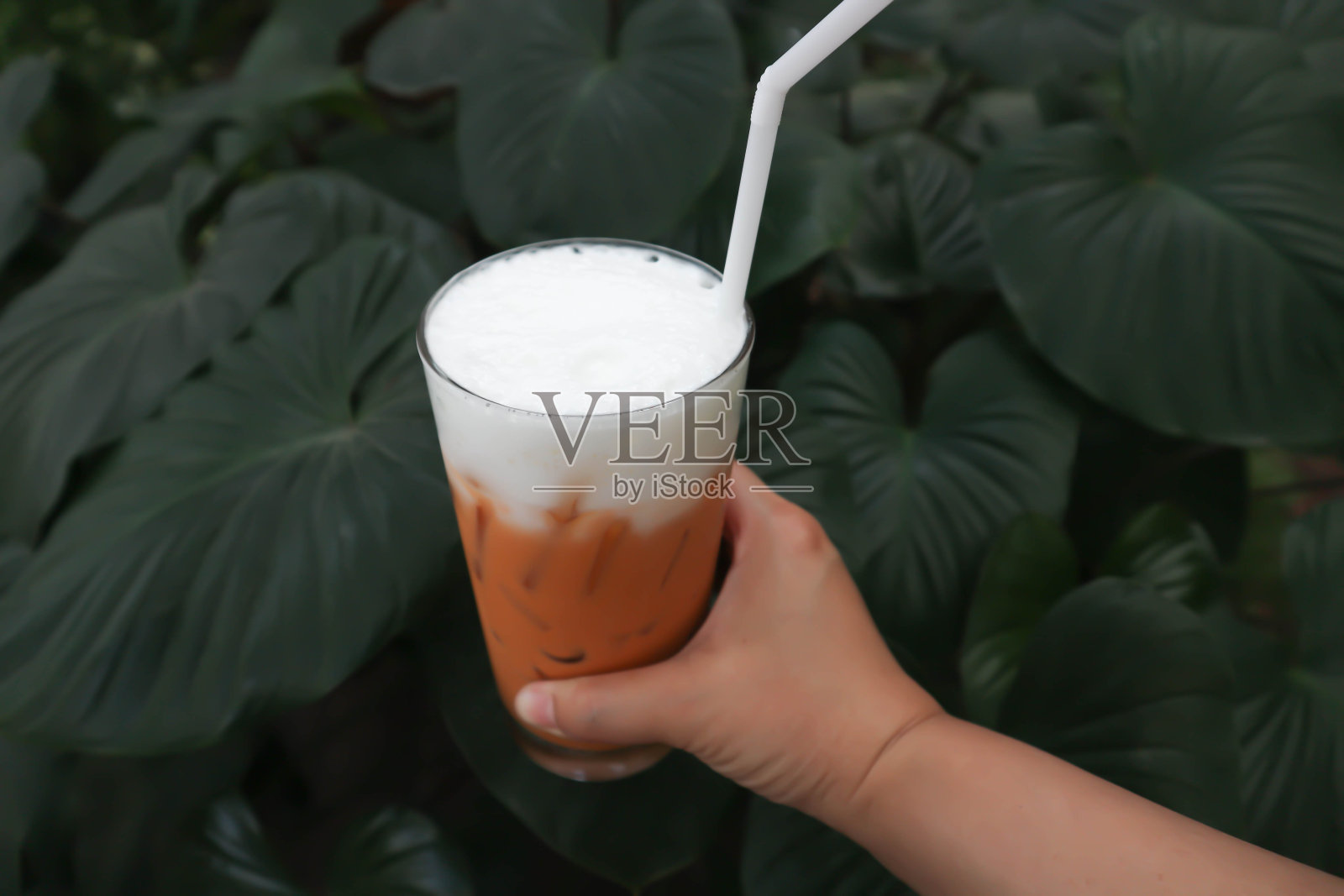 奶茶或泰国奶茶照片摄影图片