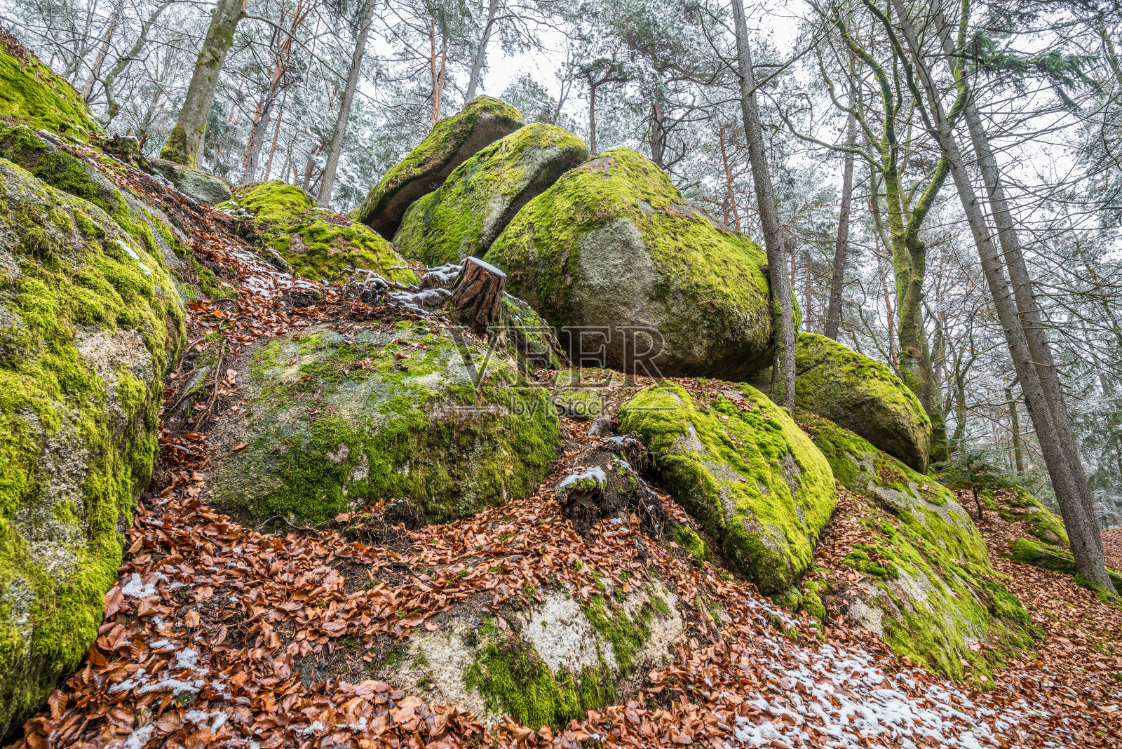 德国瑟曼斯邦附近巴伐利亚森林中古老风化的巨石花岗岩岩层，有洞穴和突破照片摄影图片