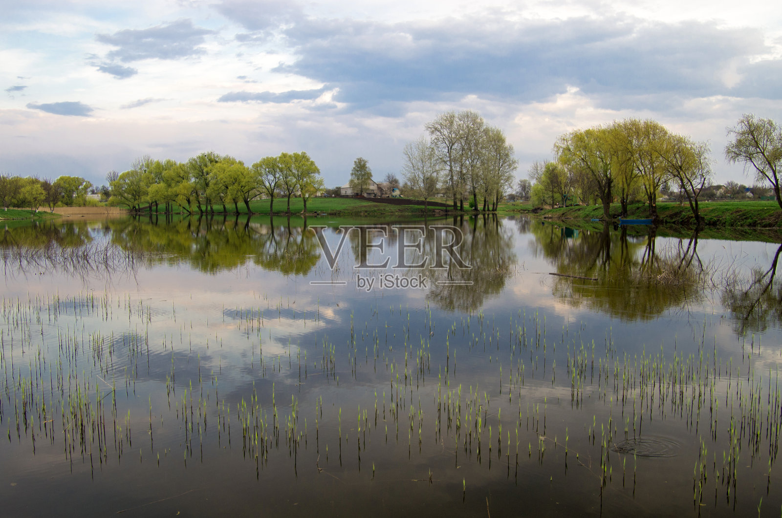 春天的风景，湖中映着云照片摄影图片