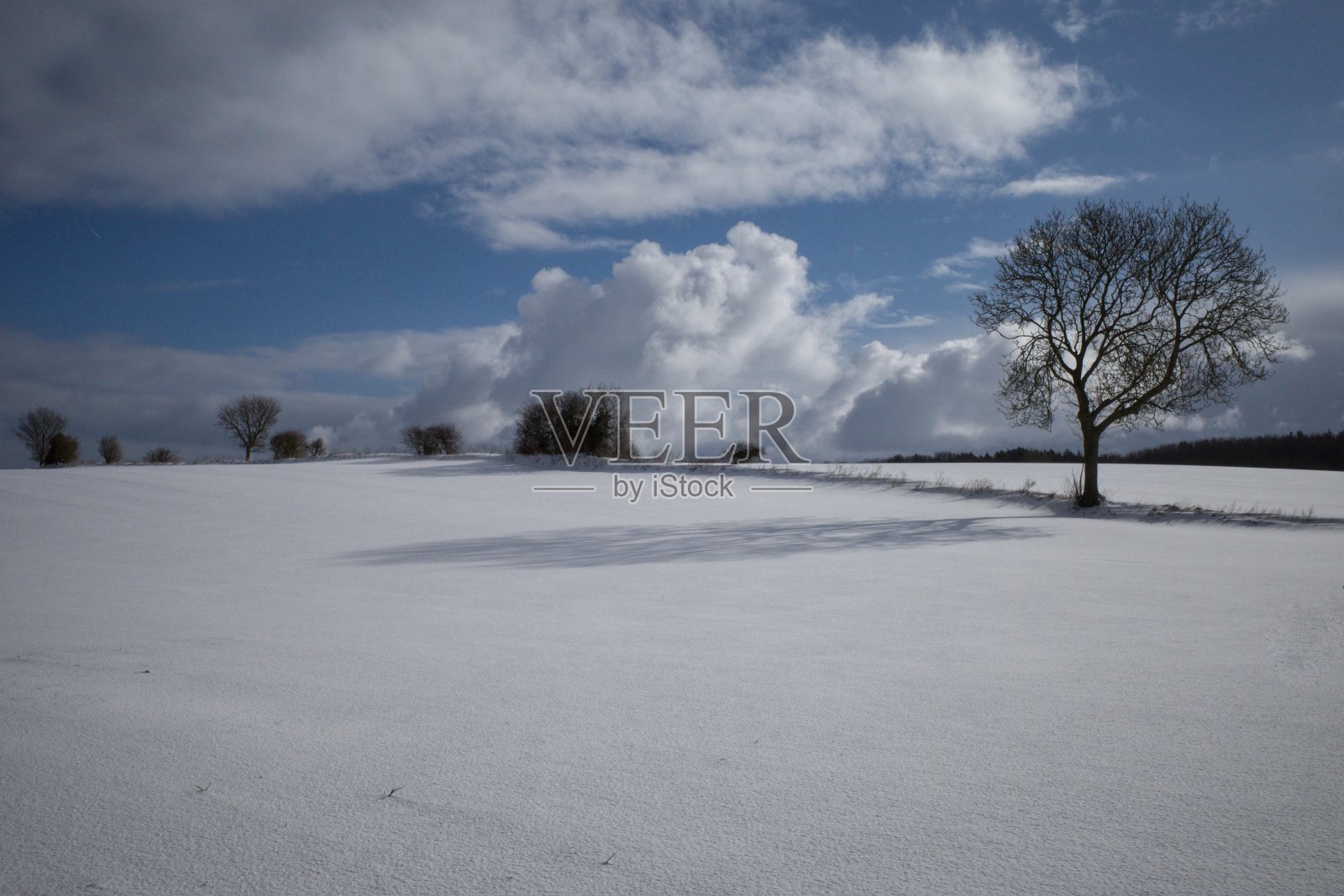 乡村雪景照片摄影图片