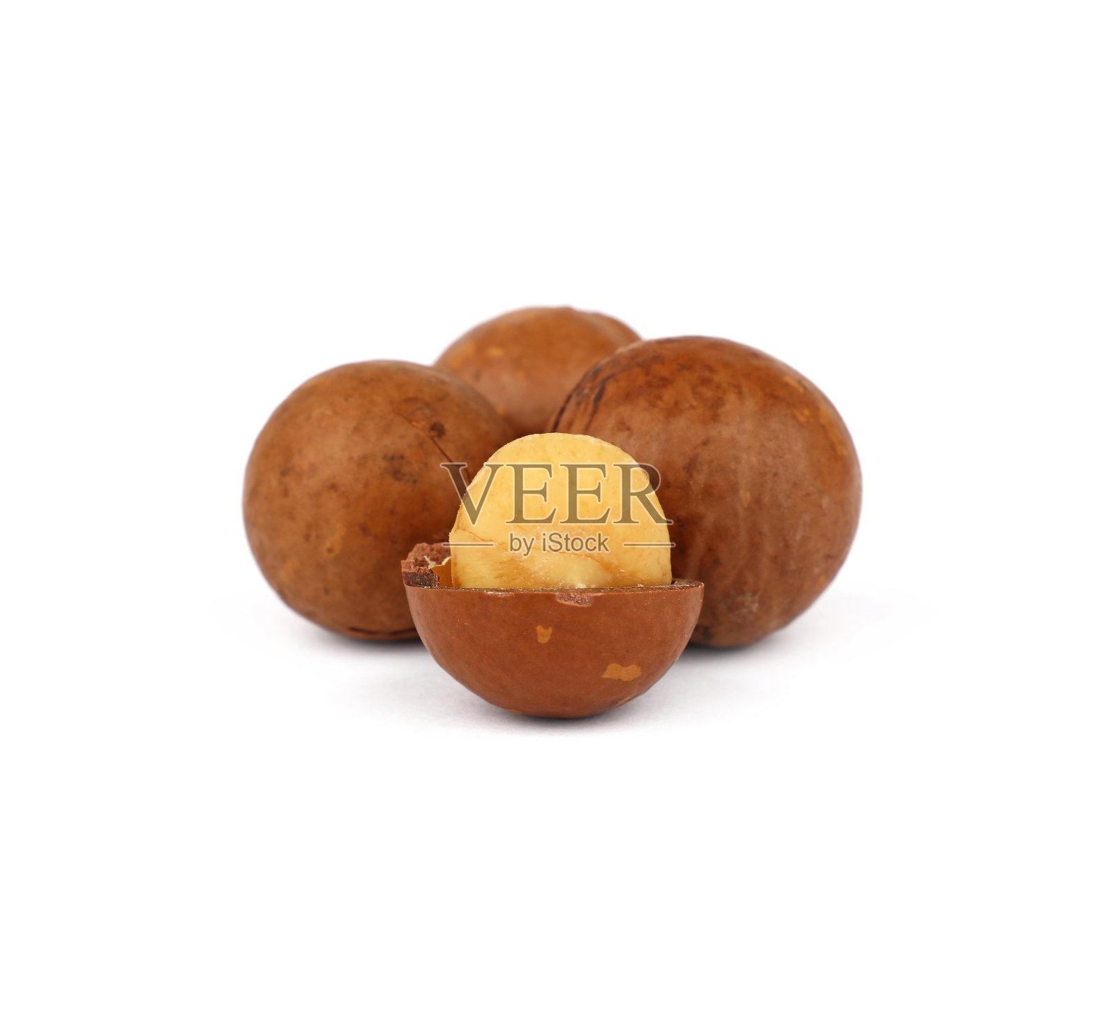 在白色背景上分离的澳洲坚果照片摄影图片