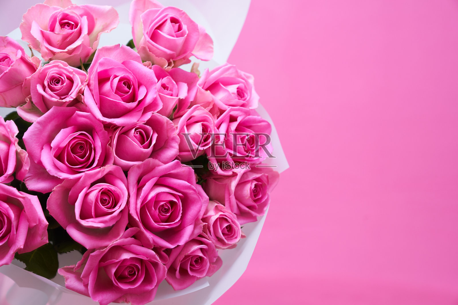 背景美丽的粉红色玫瑰与复制空间照片摄影图片