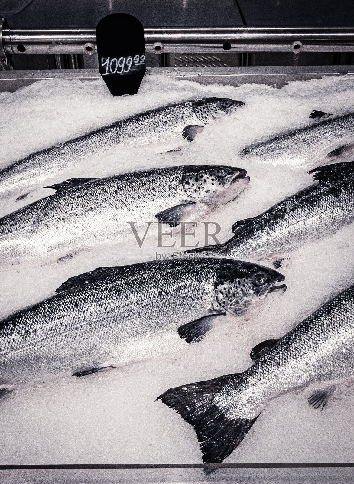 鲑鱼。市面上的冷鱼照片摄影图片