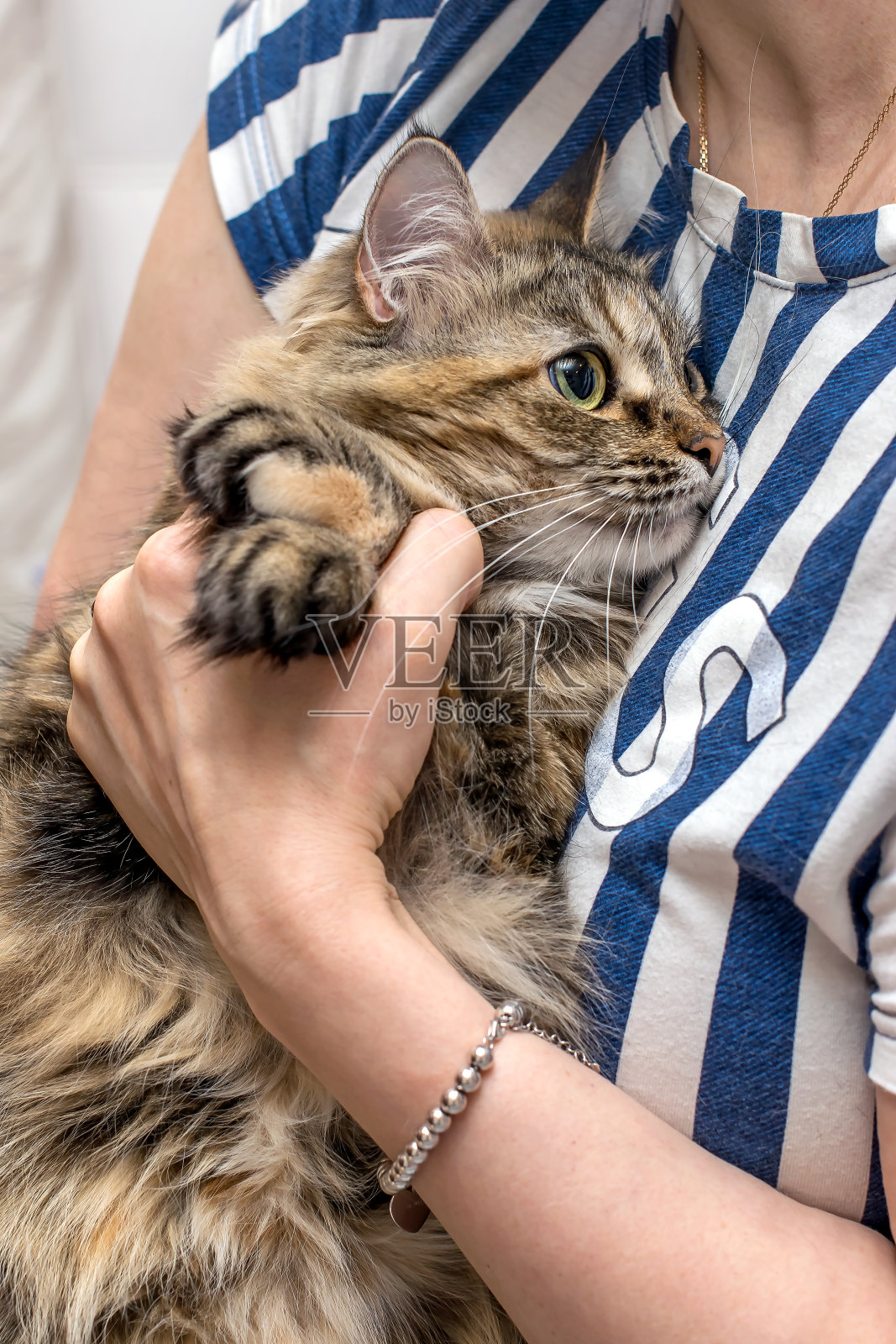 女性手里拿着一个珍贵的铂金手镯和戒指，女孩怀里抱着一只猫照片摄影图片