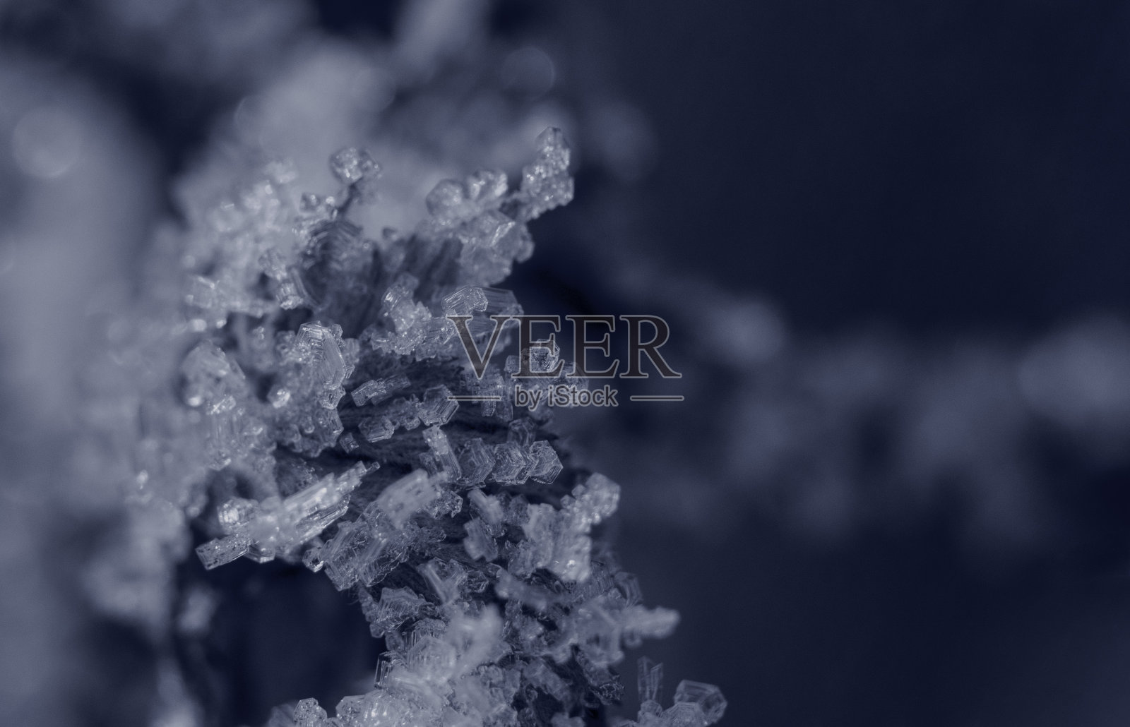 树枝上的冰晶。暗蓝色模糊背景上的白霜晶体。照片摄影图片