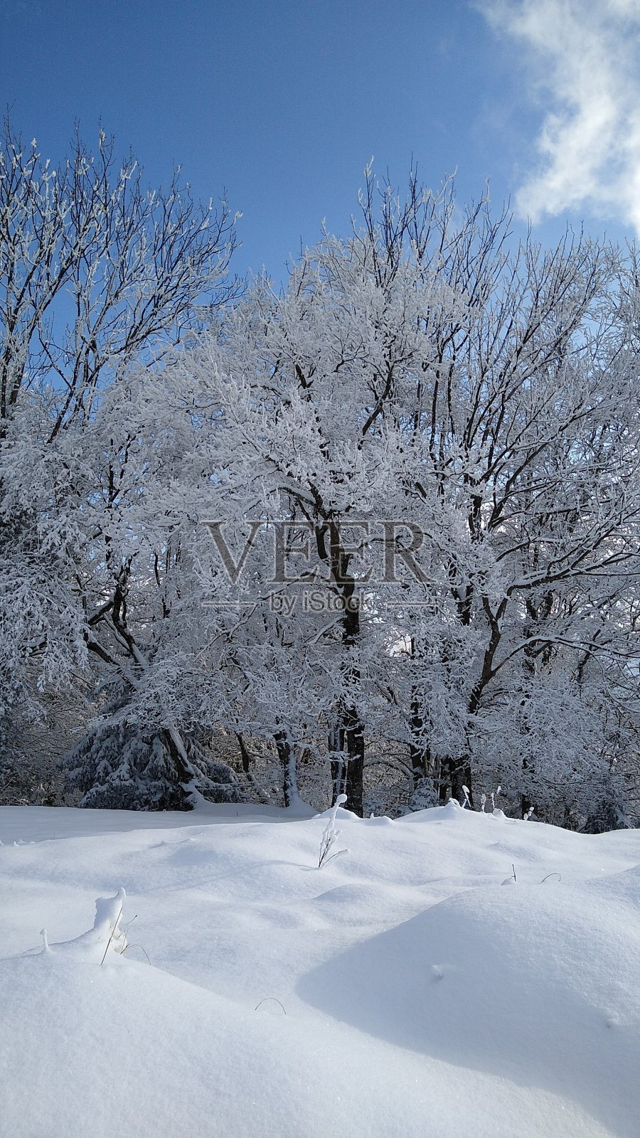 美丽的冬天照片摄影图片