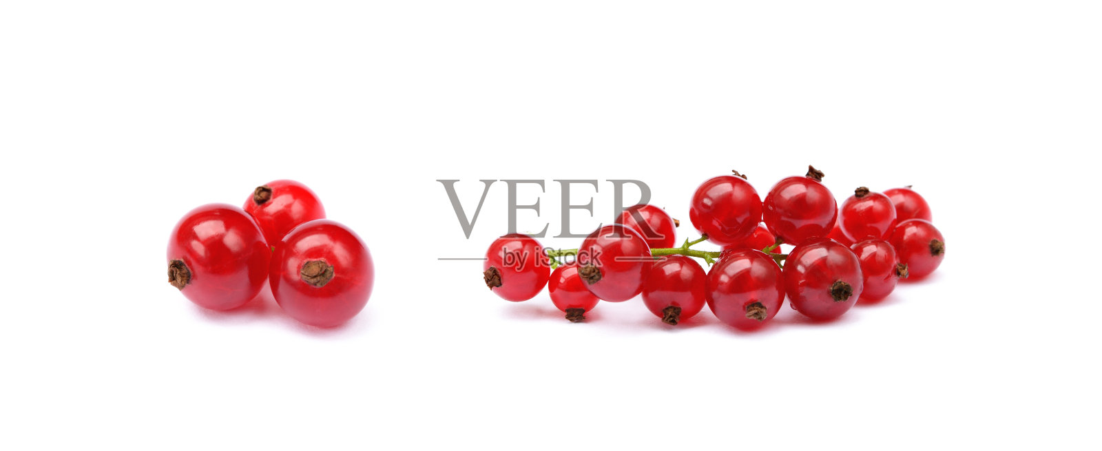 新鲜的红醋栗照片摄影图片