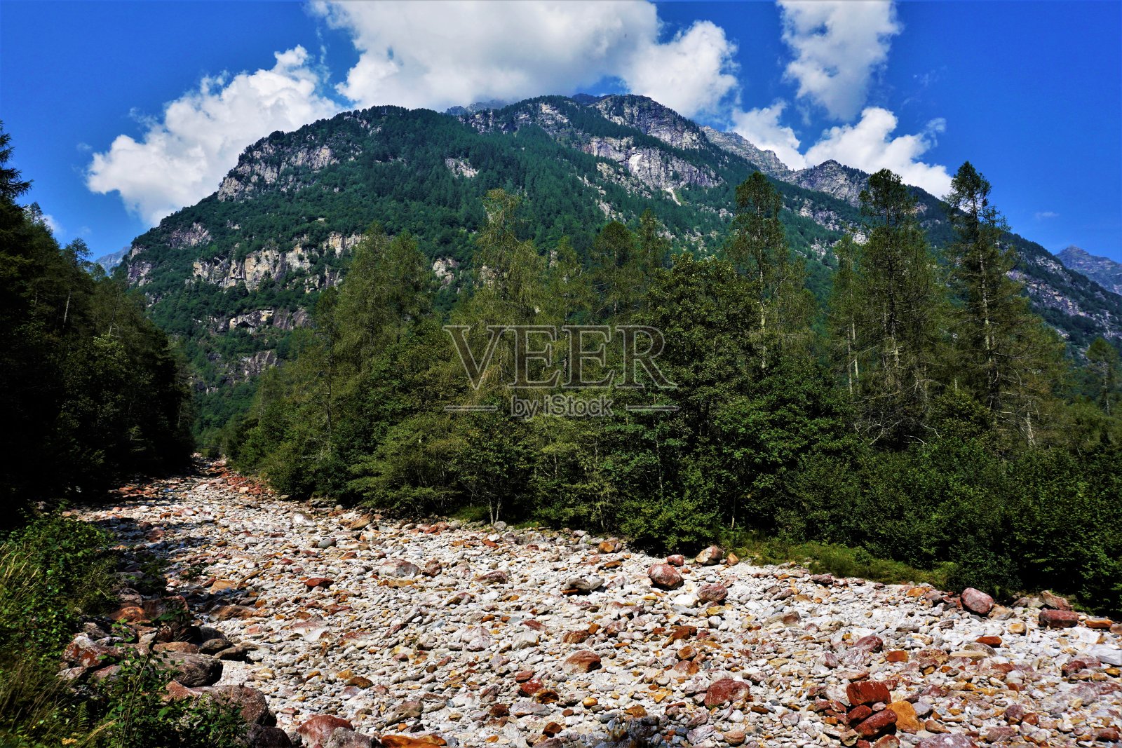 韦尔扎斯卡河的卵石和美丽的风景照片摄影图片