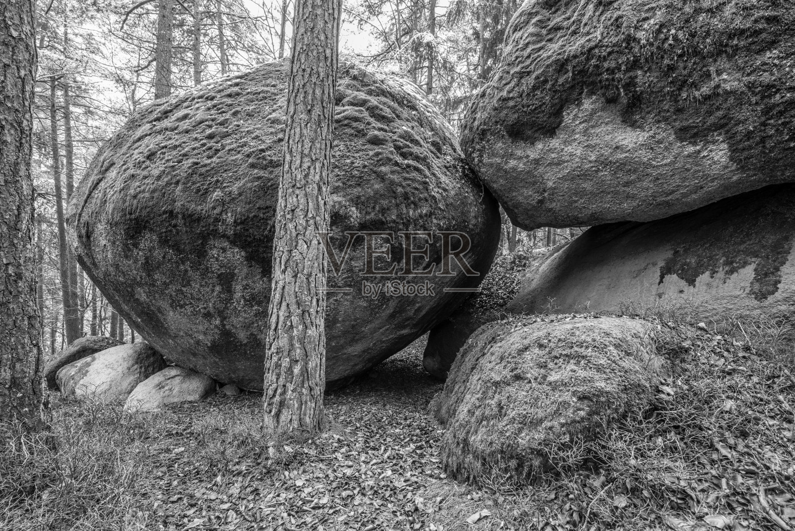 德国瑟曼斯邦附近巴伐利亚森林中古老风化的巨石花岗岩岩层，有洞穴和突破照片摄影图片