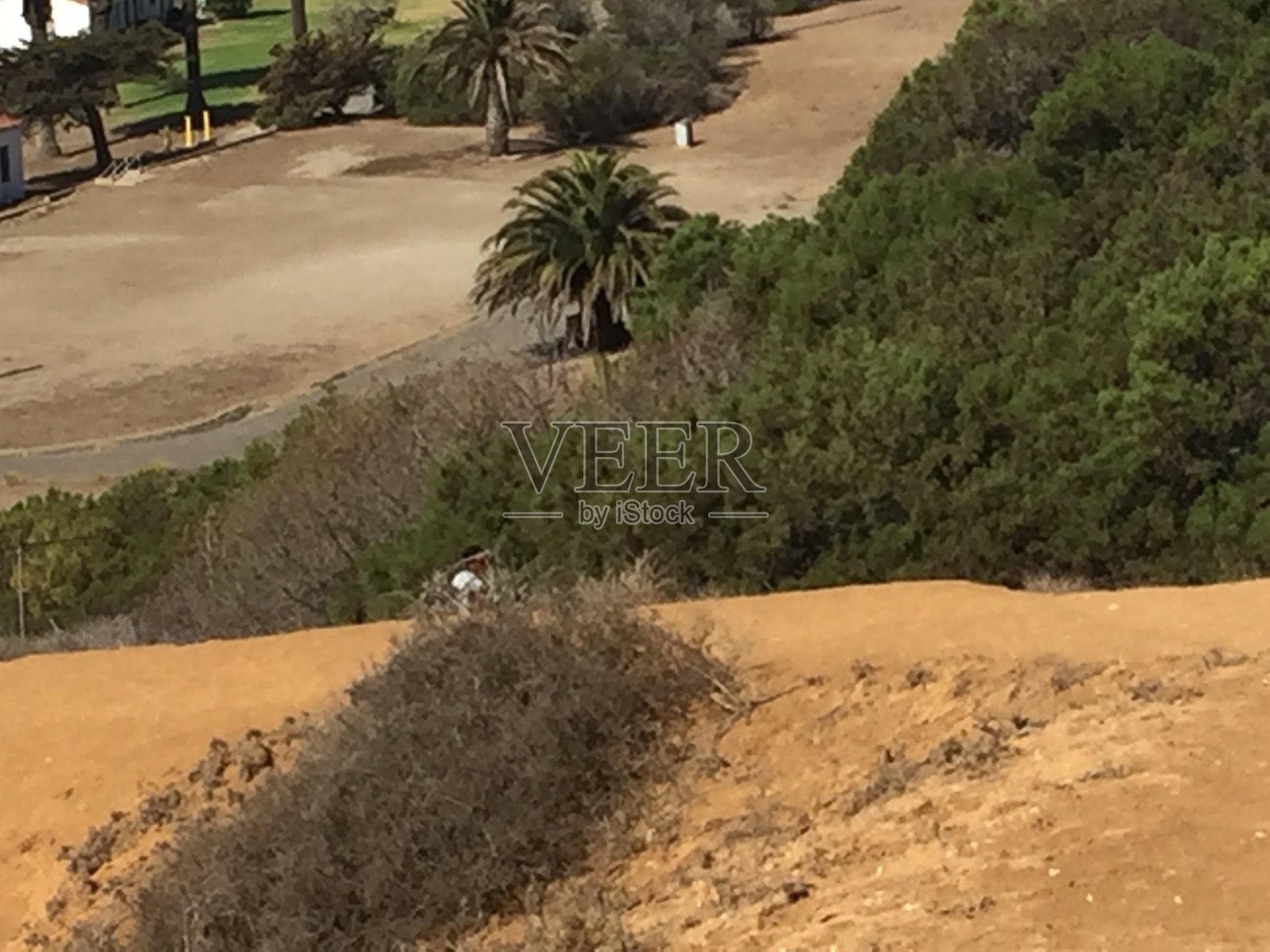加州帕洛斯格林牧场照片摄影图片