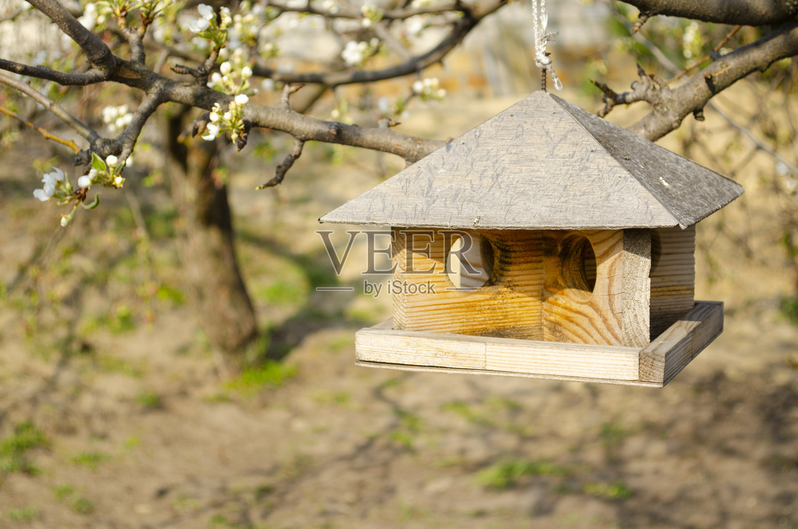 把鸟笼挂在树上。喂养野生鸟类。木制的鸟屋。喂鸟。盒子没有墙。面包和饼干在喂食器里。照片摄影图片