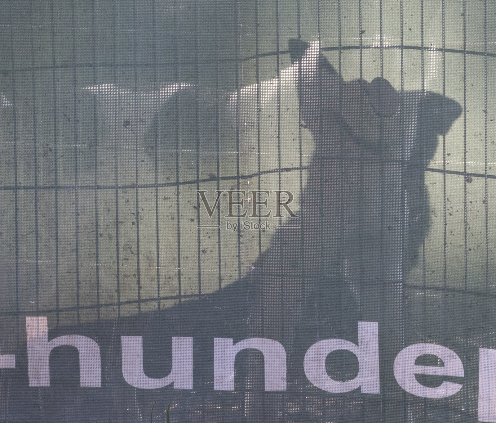 一只狗的象征照片摄影图片