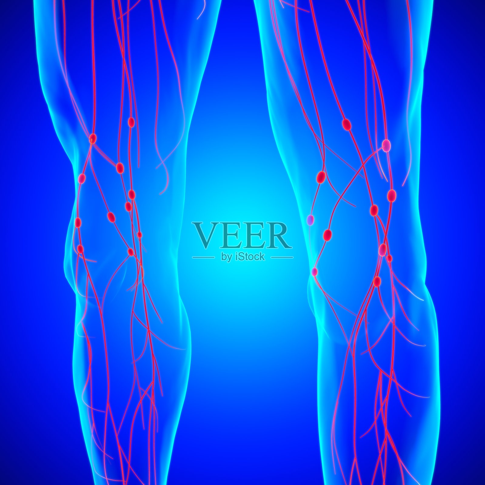人体淋巴结解剖用于医学概念3D渲染照片摄影图片