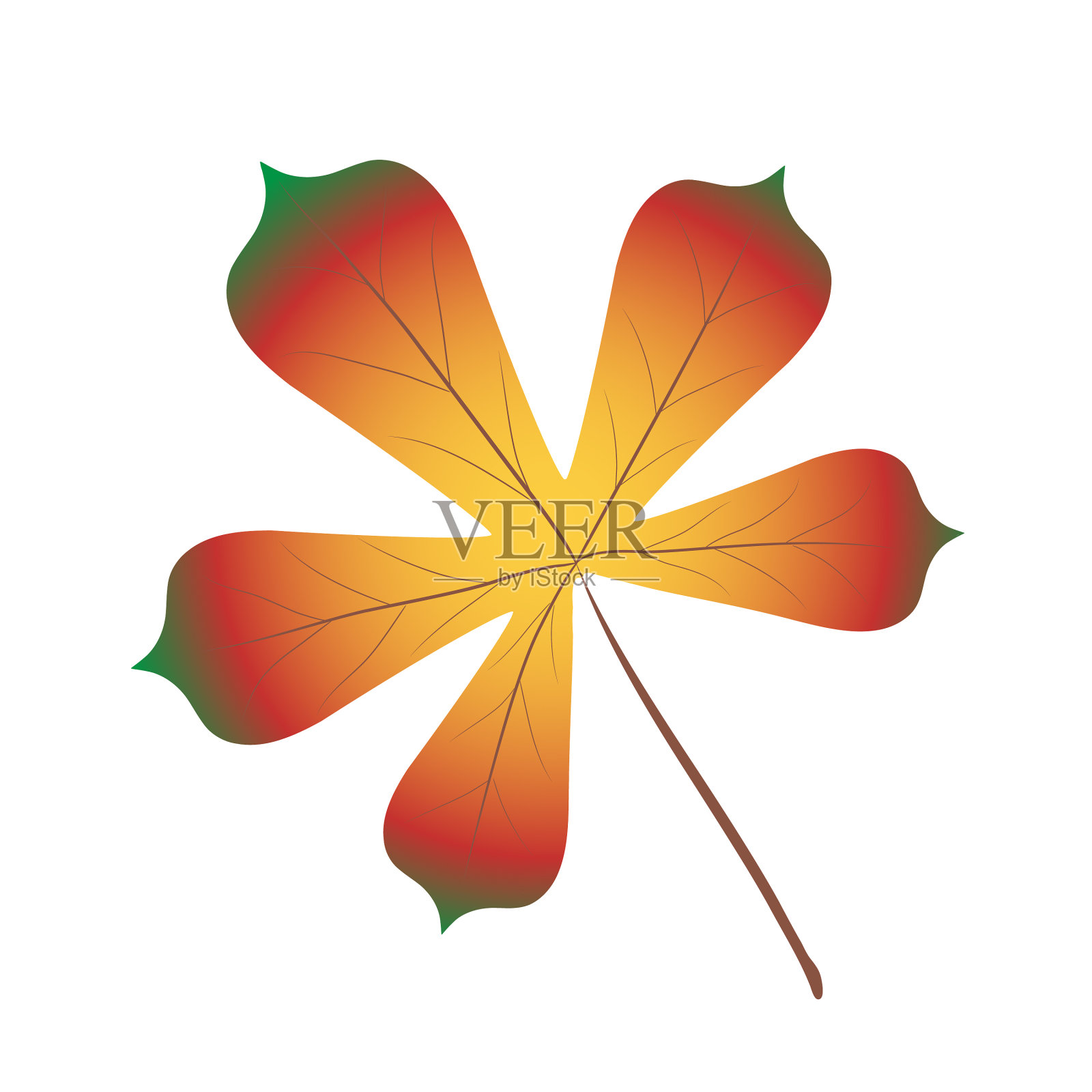 秋天的栗树红黄棕色鲜艳插画图片素材