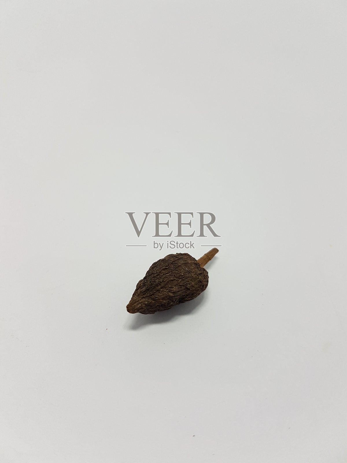白色背景中的黑色小豆蔻照片摄影图片