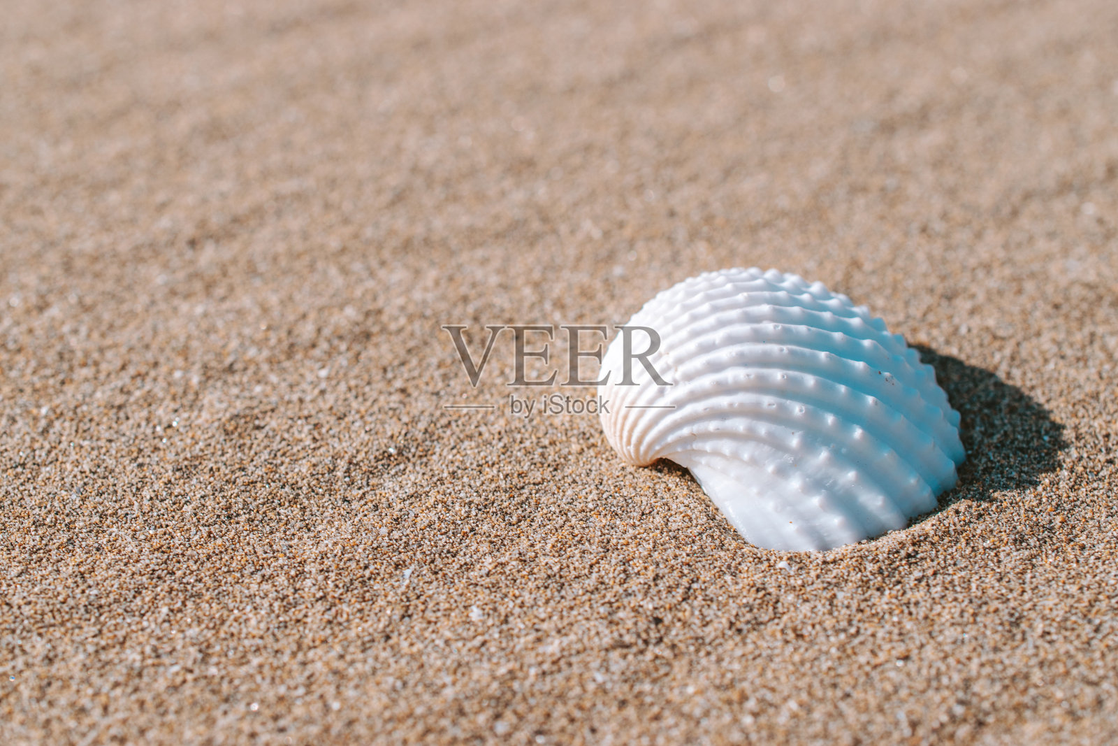 夏季出售的贝壳，海星在沙滩上的背景。宁静的海滩景色与复印空间。照片摄影图片