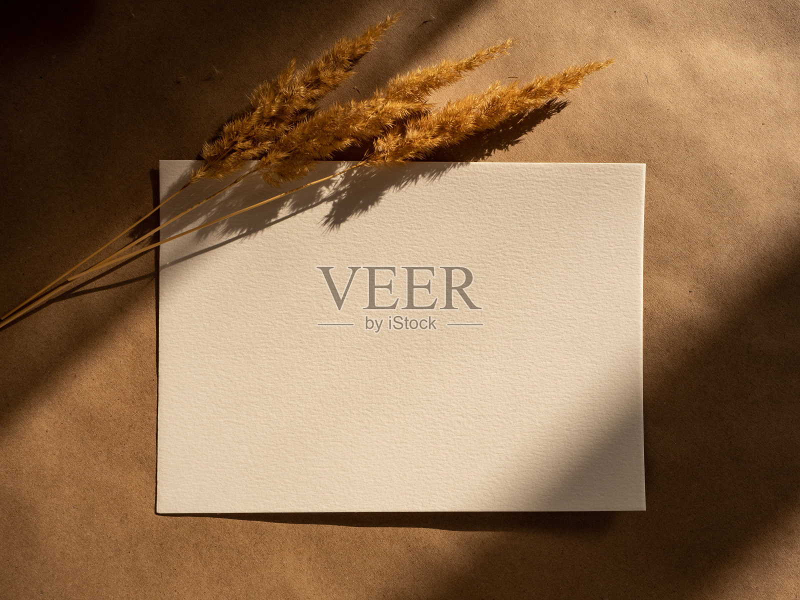 褐色的牛皮纸背景下，清晨阳光下的空白贺卡、请帖和干花照片摄影图片