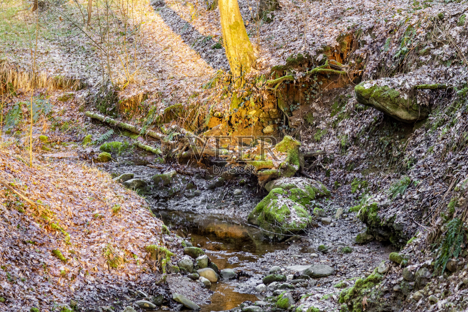 溪流流经岩石的高角度视图照片摄影图片