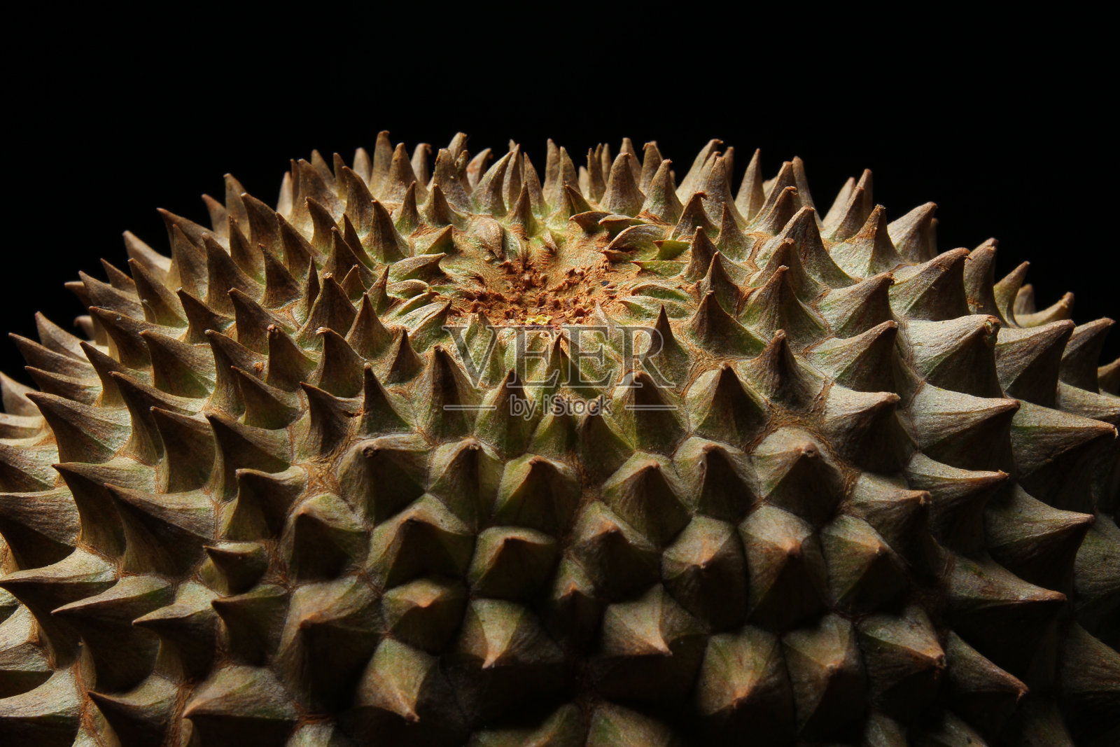 榴梿刺照片摄影图片