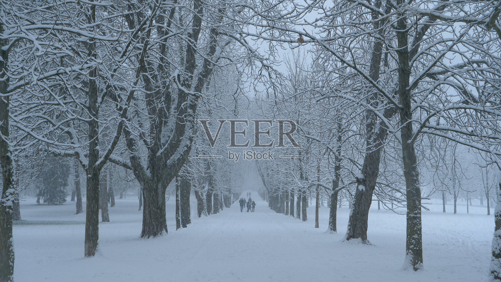 在一场暴风雪中，人们沿着风景优美的大道散步，很开心。照片摄影图片