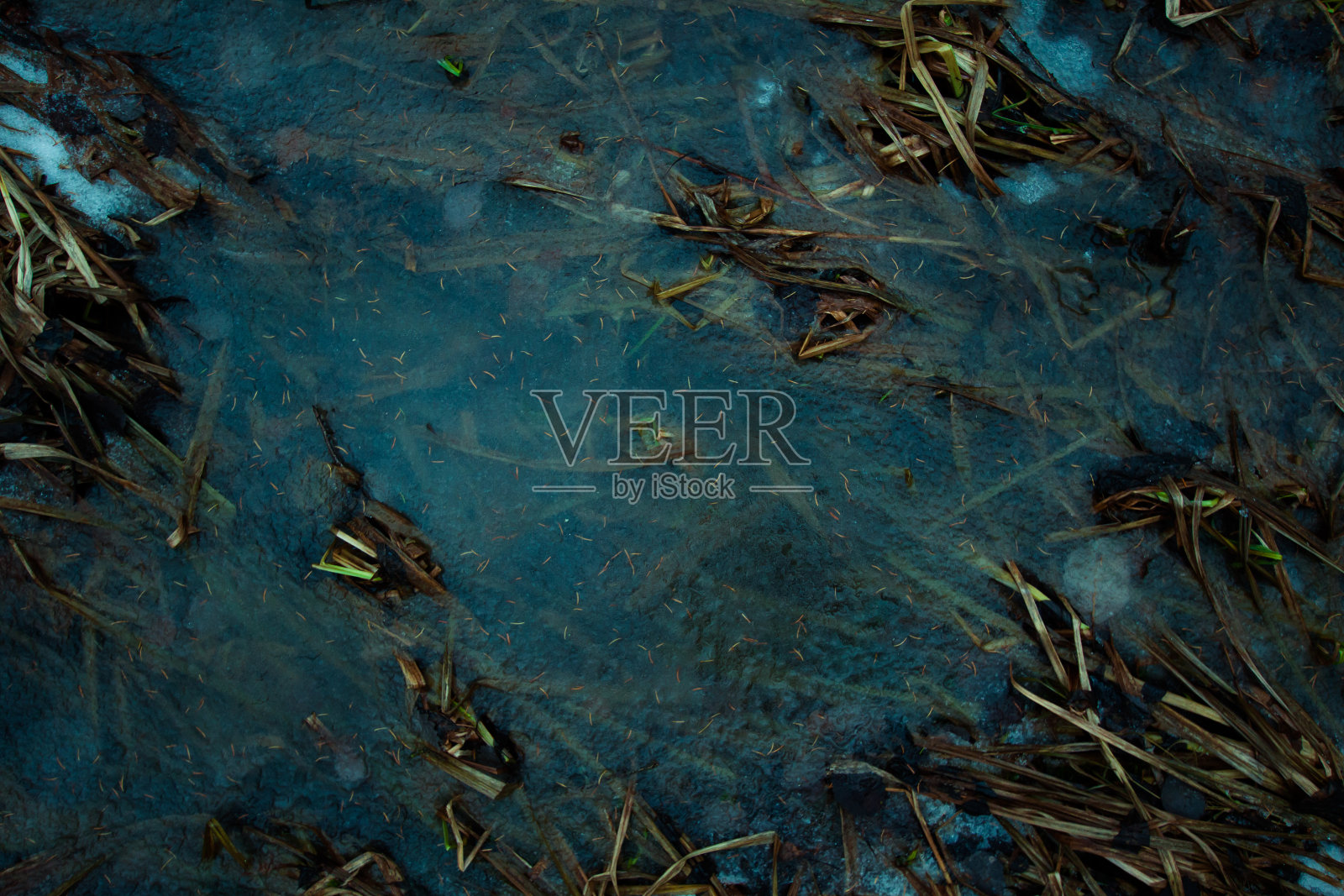 结冰的沼泽照片摄影图片