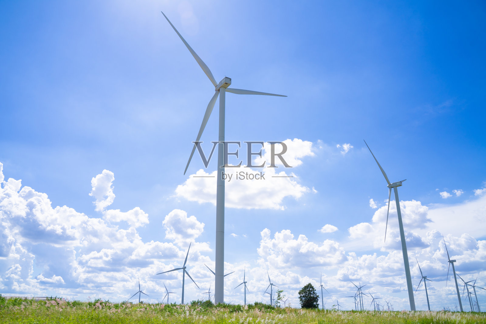 用于发电的风力涡轮机在晴天为地球提供清洁能源照片摄影图片