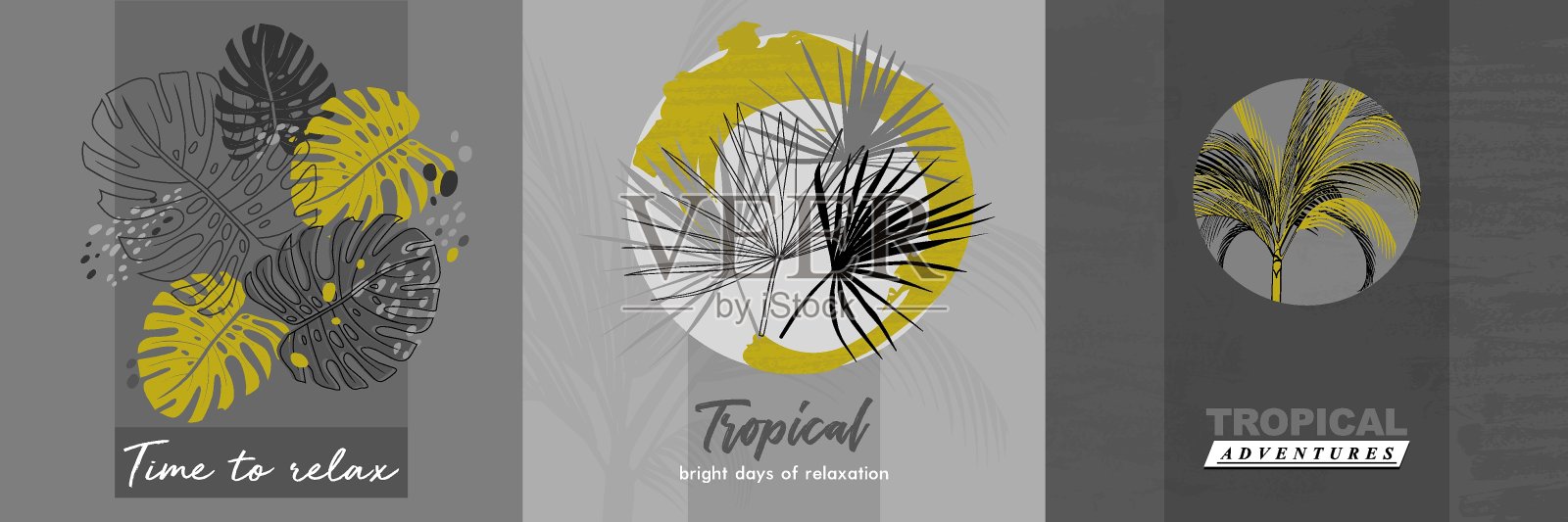 一套热带模板与怪物的叶子和铭文插画图片素材