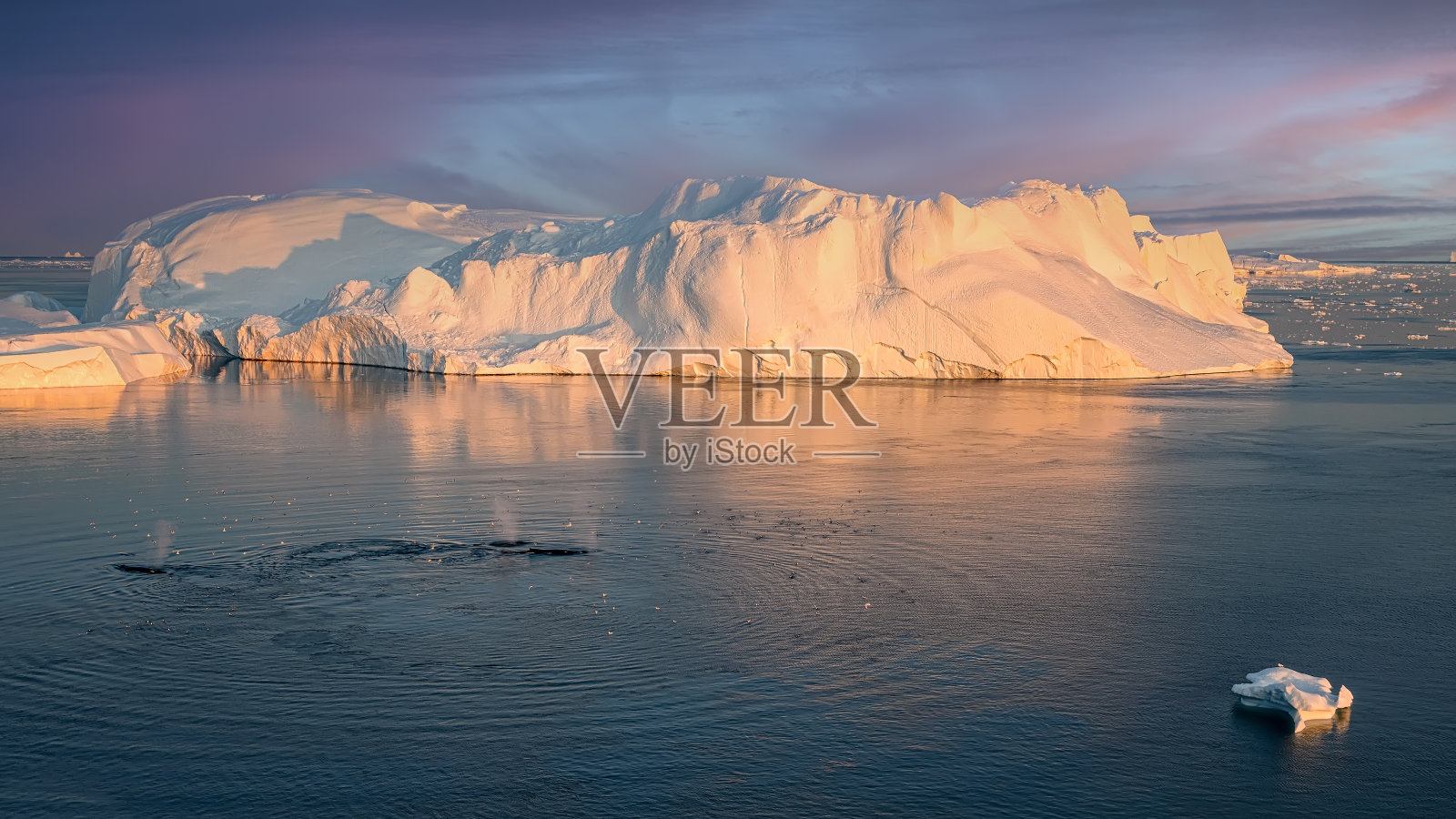 西格陵兰岛迪斯科湾峡湾的漂浮冰川照片摄影图片