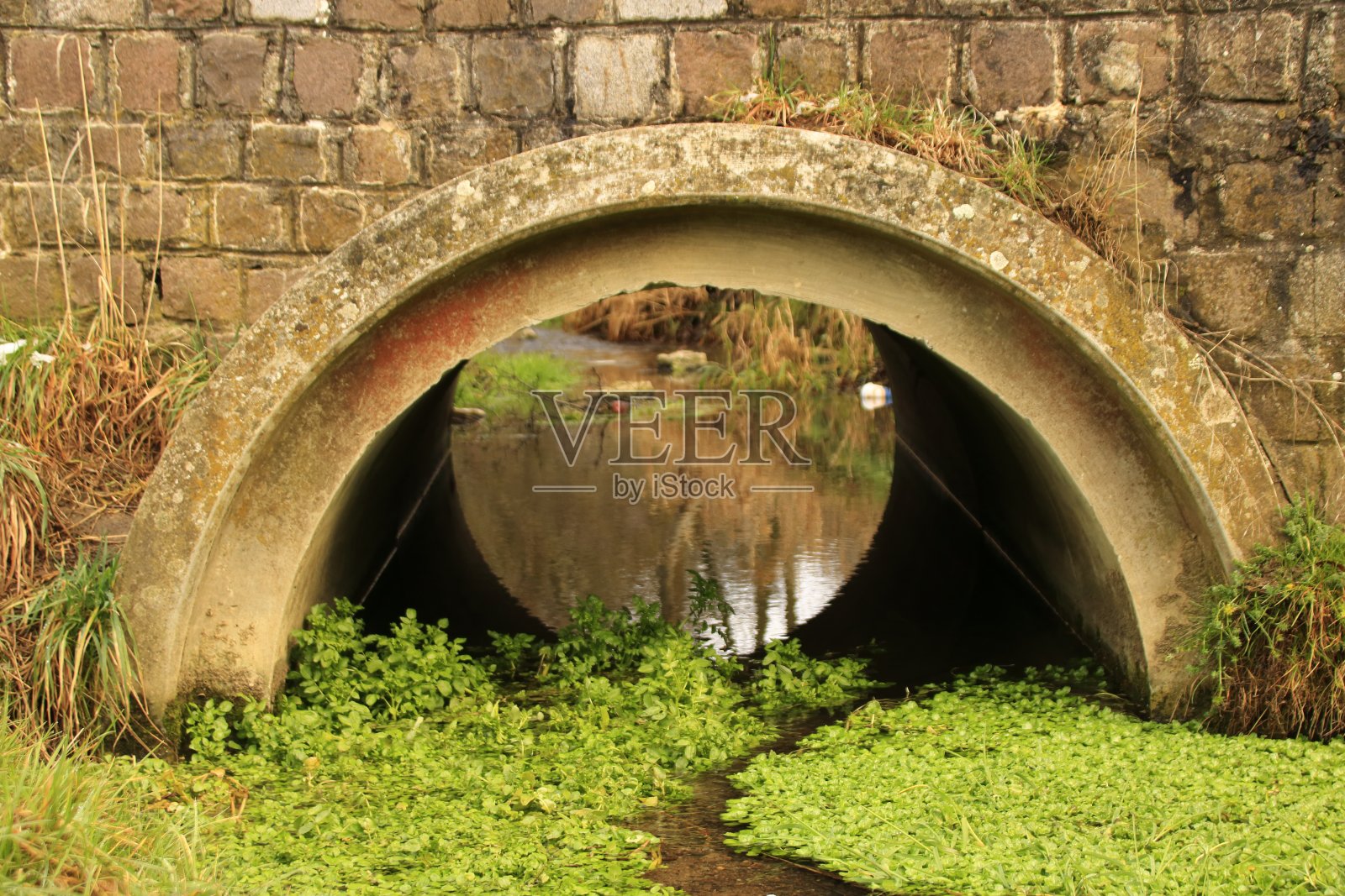 韦萨赫附近斯特鲁迪巴赫河上的桥。照片摄影图片