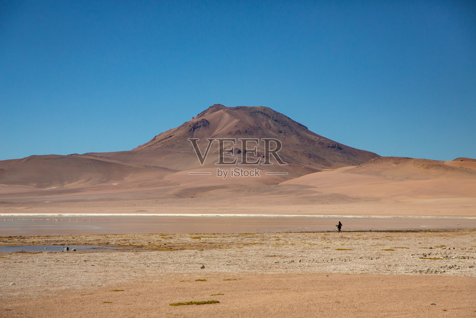 遥远的女人穿着黑色和Boom Pole走在化学湖与火烈鸟饮水和站在湖与山的倒影照片摄影图片