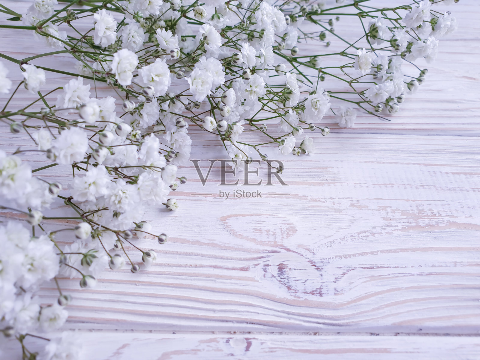 木色背景上的Gypsophila花照片摄影图片