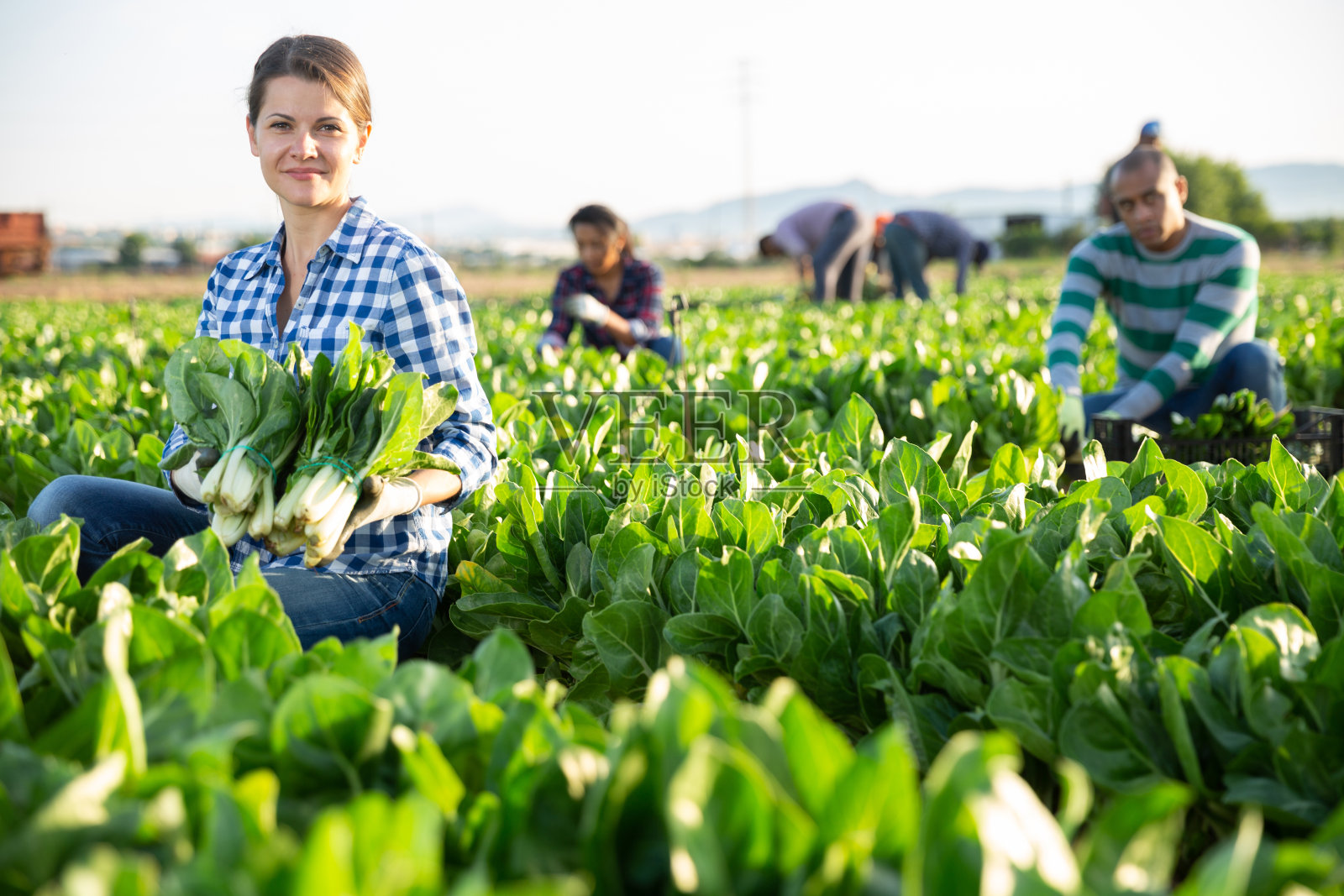 快乐的女农民的肖像与成熟的男人在手中照片摄影图片