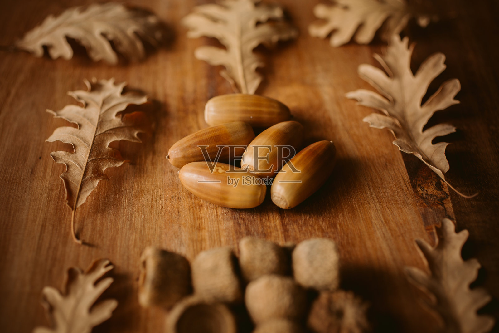 橡树的叶子和橡子作为背景。近距离观看掉落的橡树叶。秋天的背景设计。照片摄影图片