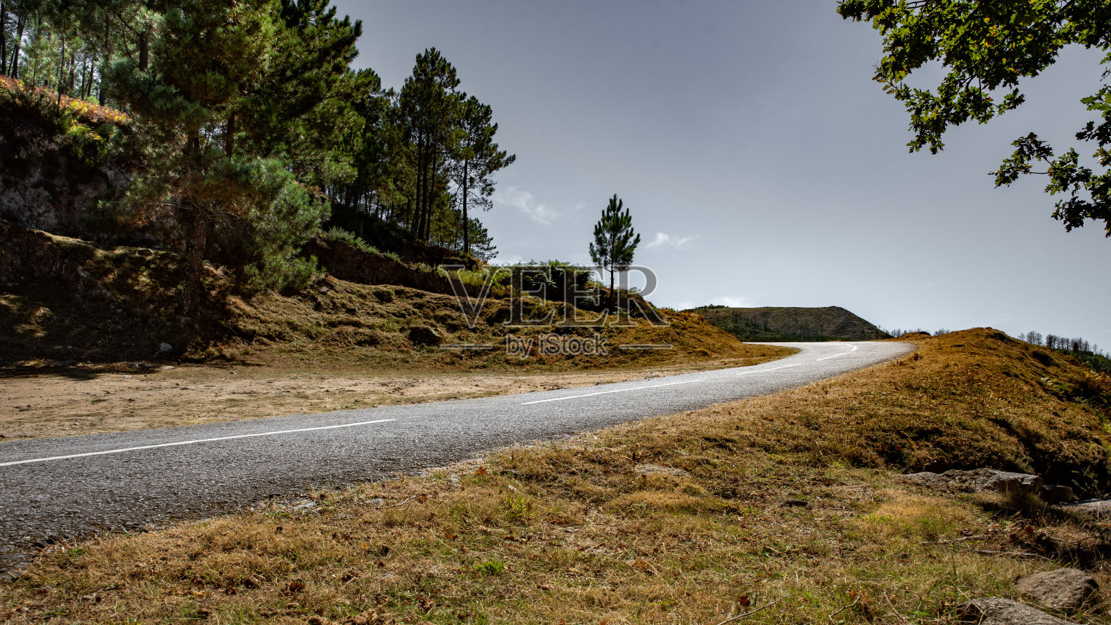 在田野里有左转的斜坡路照片摄影图片