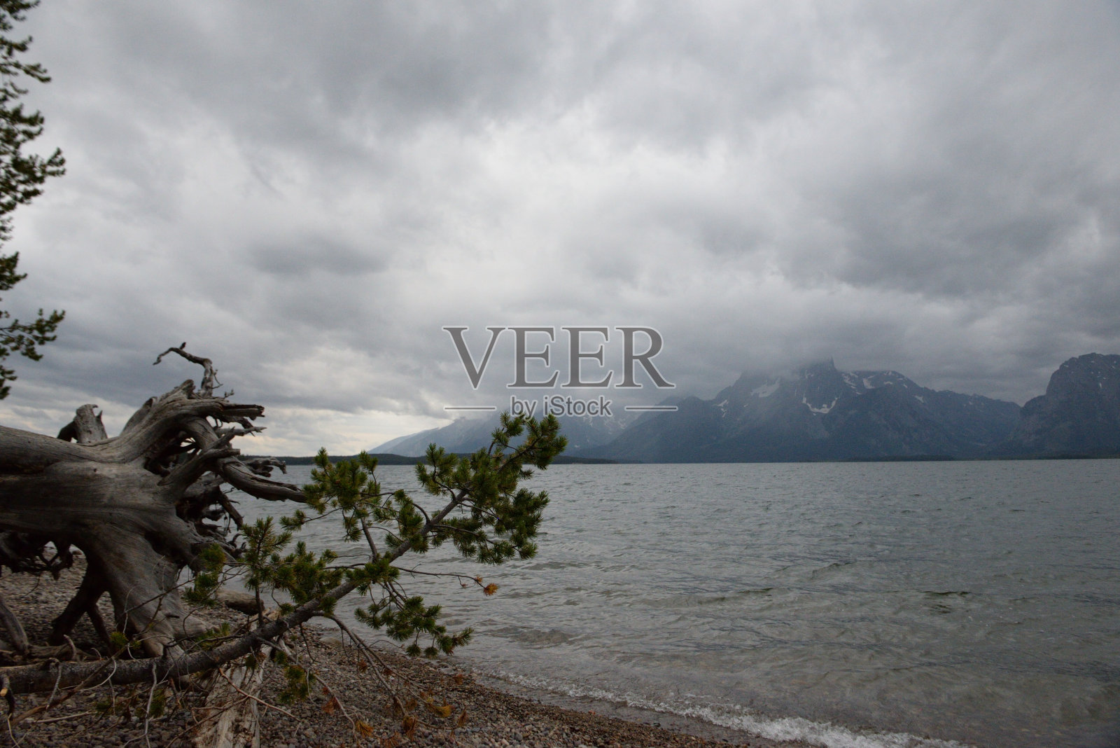 大提顿国家公园景观照片摄影图片