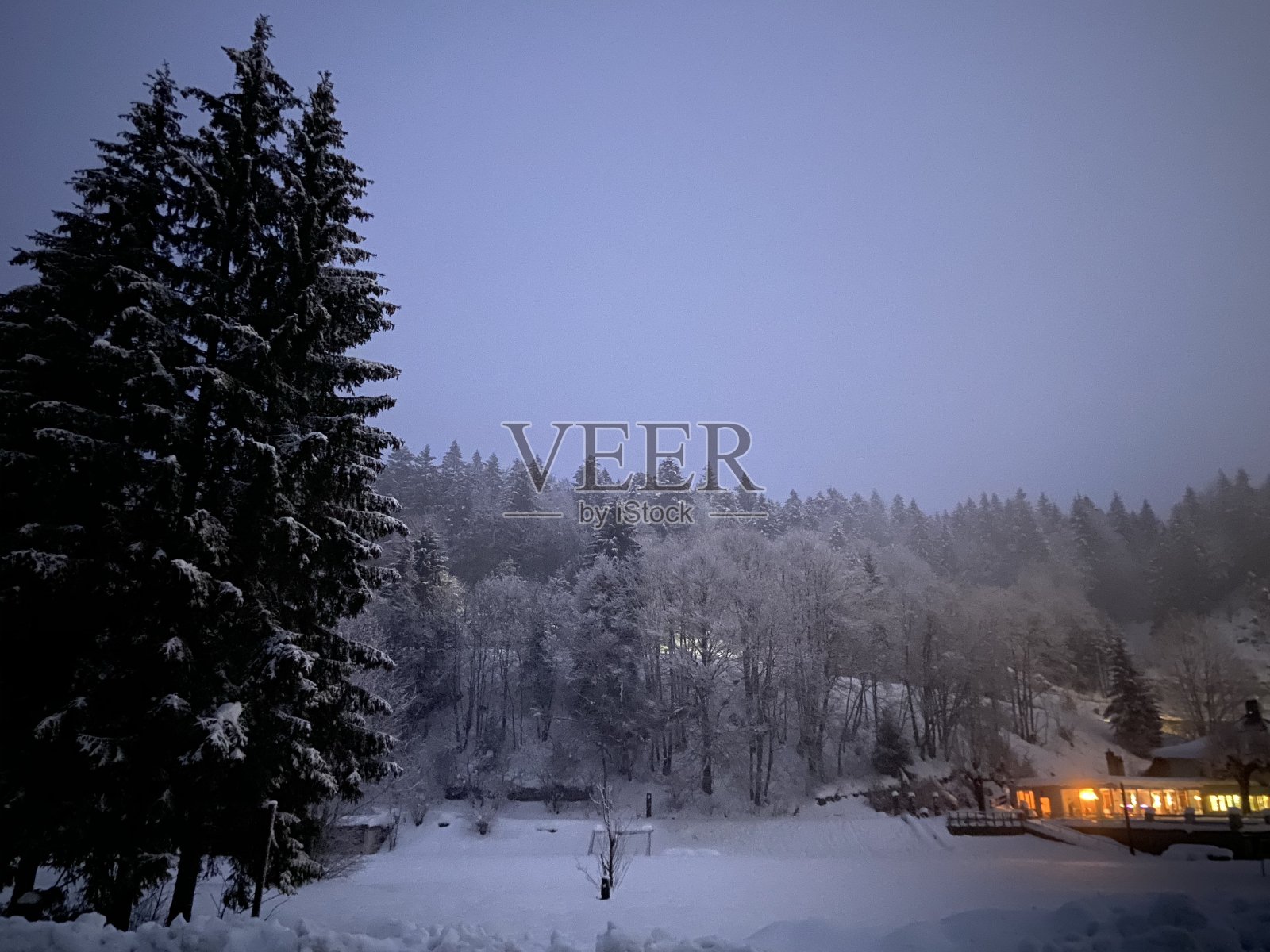 森林下有雪的小屋照片摄影图片