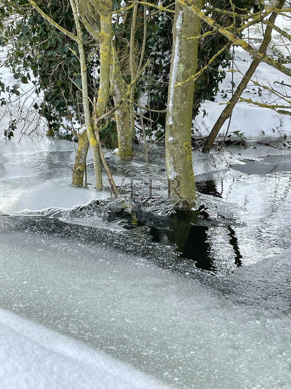 雪冬天水冰沟渠二月伦堡萨福克照片摄影图片