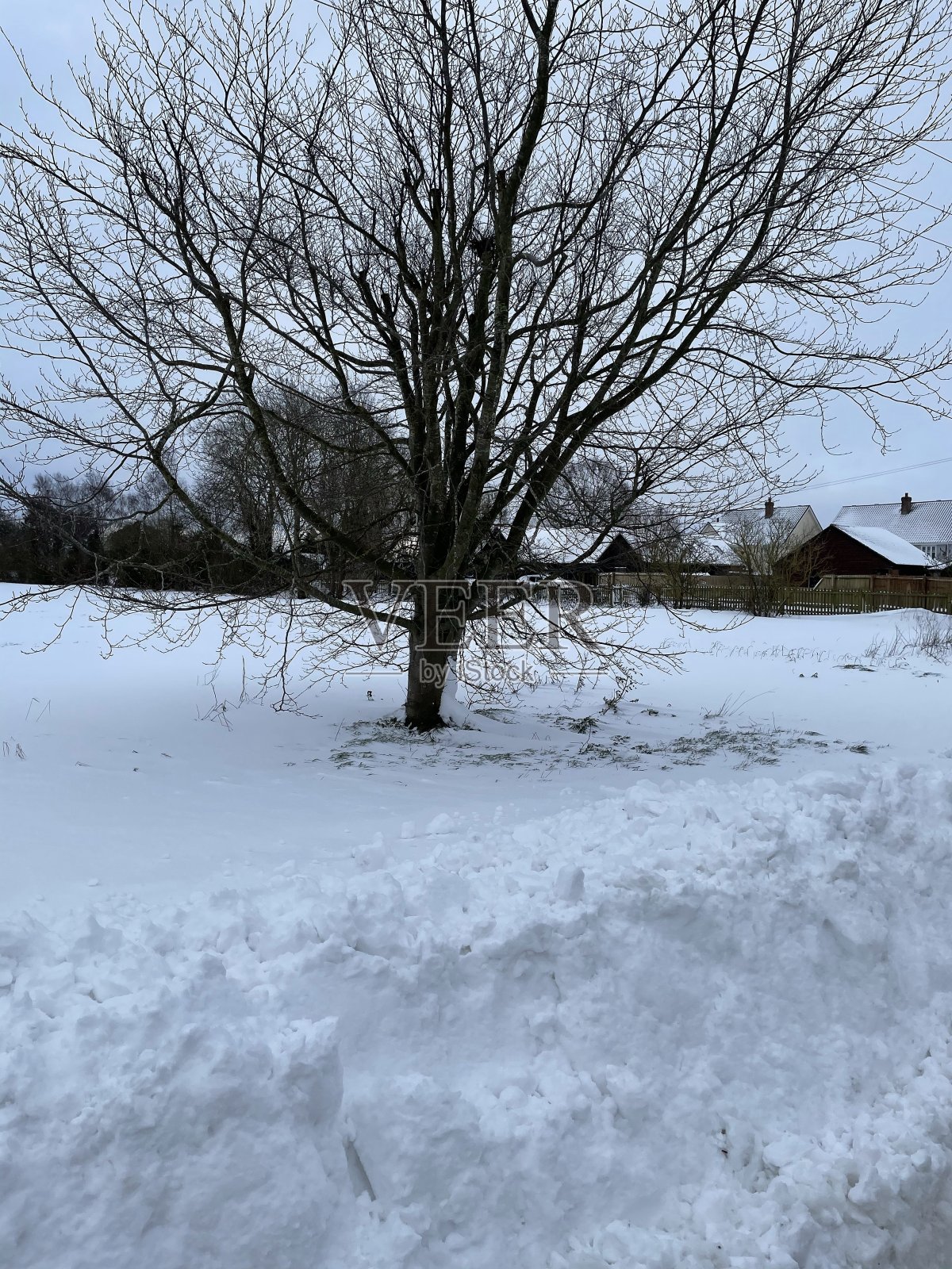隆堡萨福克郡二月份的时候，路边冰雪覆盖照片摄影图片