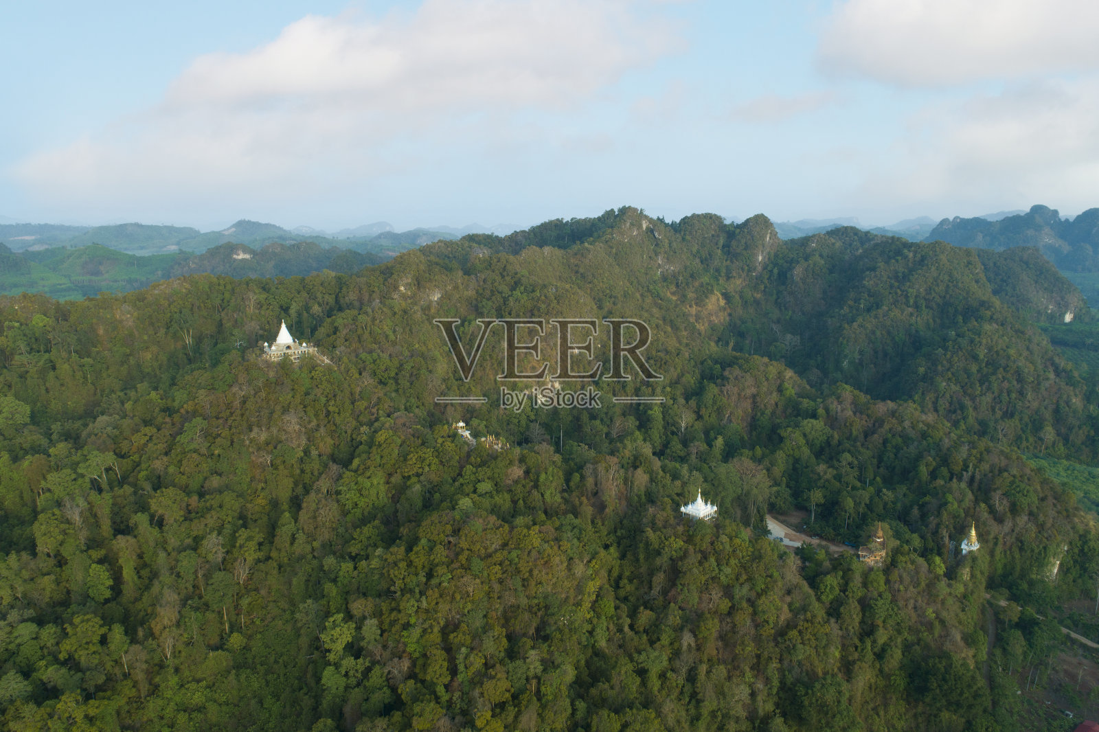 森林中的树木，鸟瞰图照片摄影图片