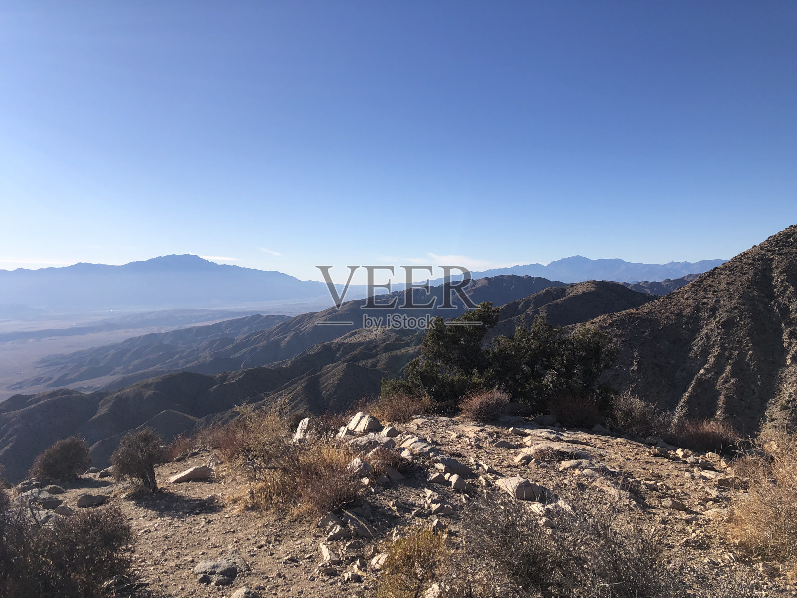 约书亚树州立公园，加利福尼亚州照片摄影图片