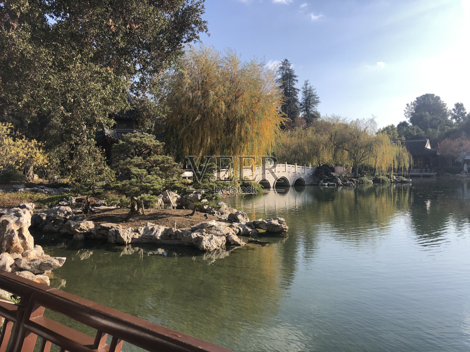 亨廷顿的花园,照片摄影图片