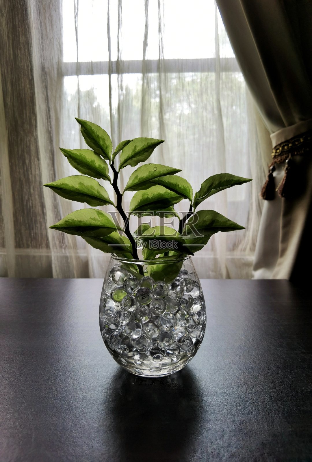 水培法照片摄影图片