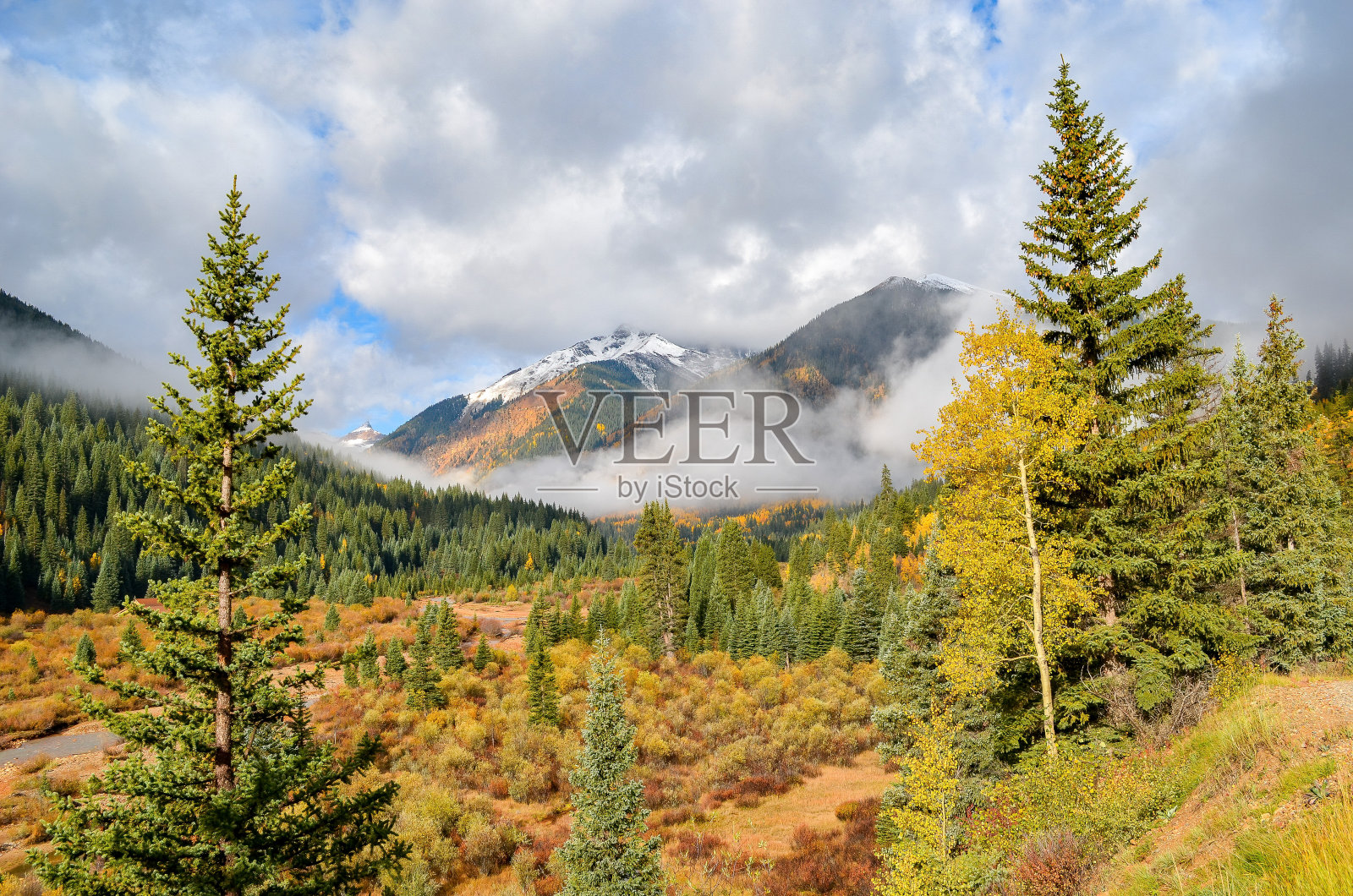 科罗拉多西南部的秋天白杨与远方的雷雨照片摄影图片