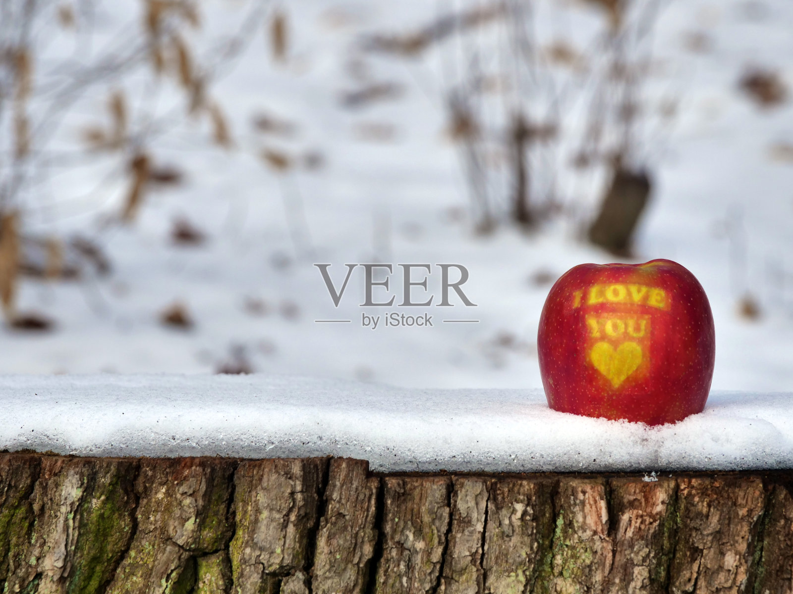 情人节苹果，红色背景上有“我爱你”的信息和心形标志照片摄影图片