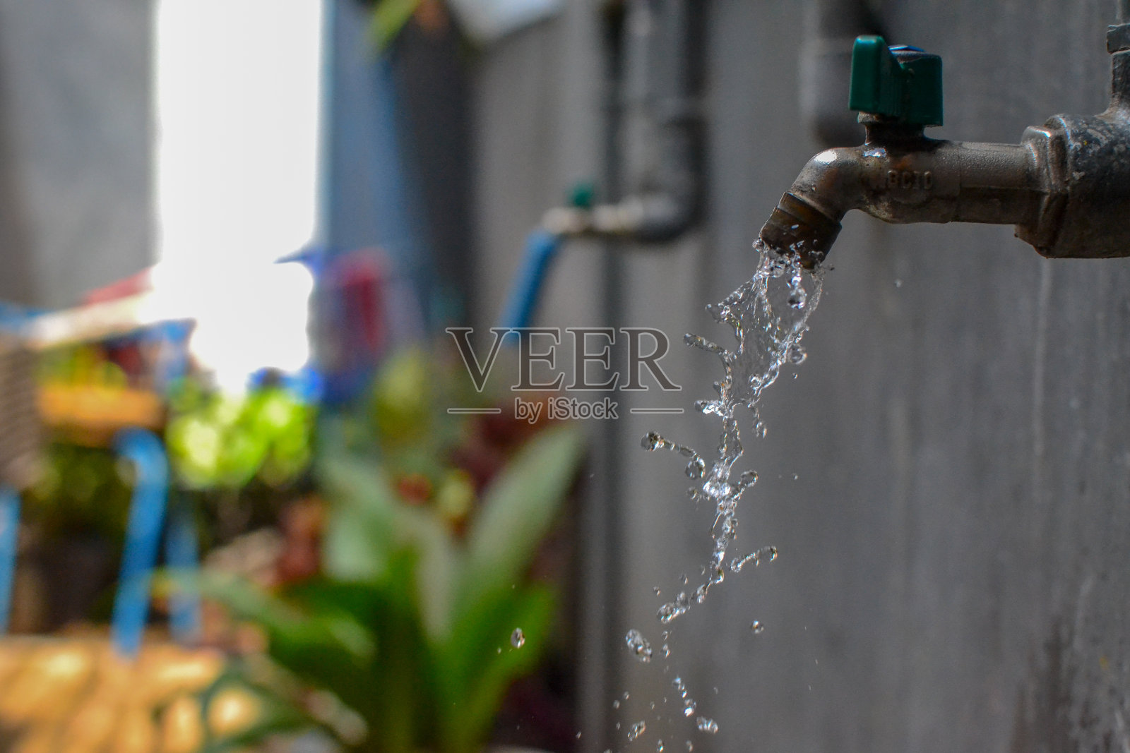 用水滴叩开生命之门照片摄影图片