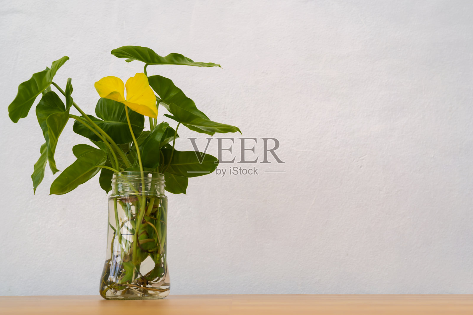 木桌桌顶与树盆在白色的墙壁上，与复印空间照片摄影图片